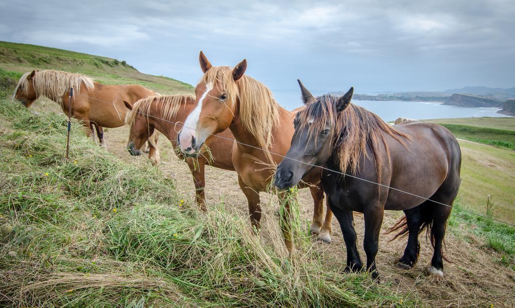Posada Punta Ballota Suances Luaran gambar